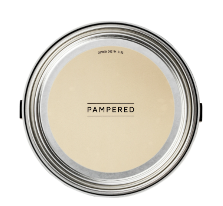 Pampered Interior Flat Paint