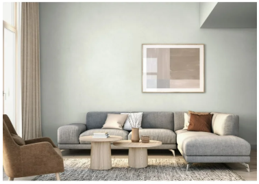 Wonder Interior Flat Paint