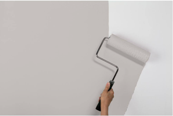 Natural Grey Interior Egg Shell Paint