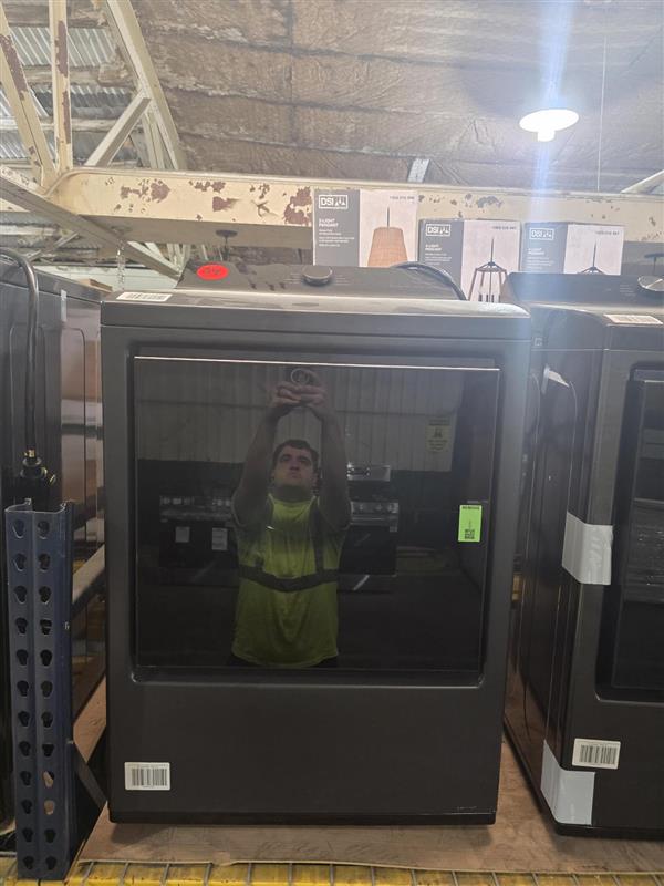 LG 7.3 cu. ft. Rear Control Smart Electric Dryer (Matte Black)